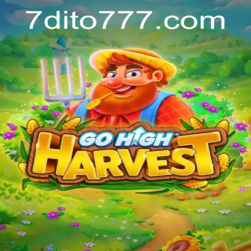 Exploring GoHighHarvest and dito777